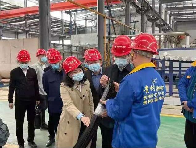 貴陽市常委、市工商聯(lián)、廣東總商會一行到我廠調(diào)研